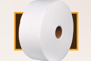 Polyester spiny nonwoven fabric