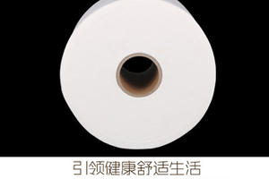 White polyester water spunky non-woven fabric